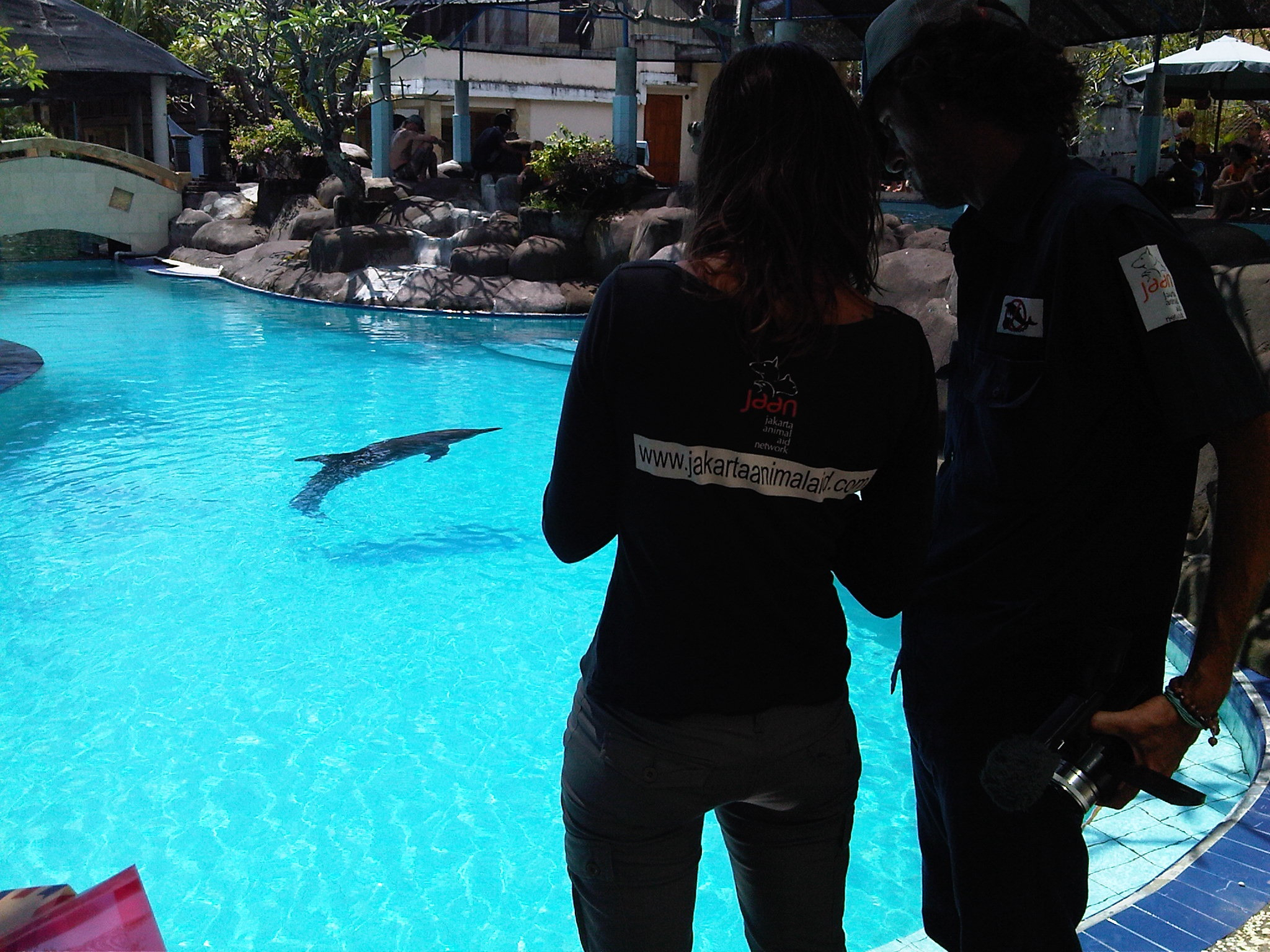 20 Attachment JAAN team inspects another wild caught dolphin at melka hotel april 2011 copy