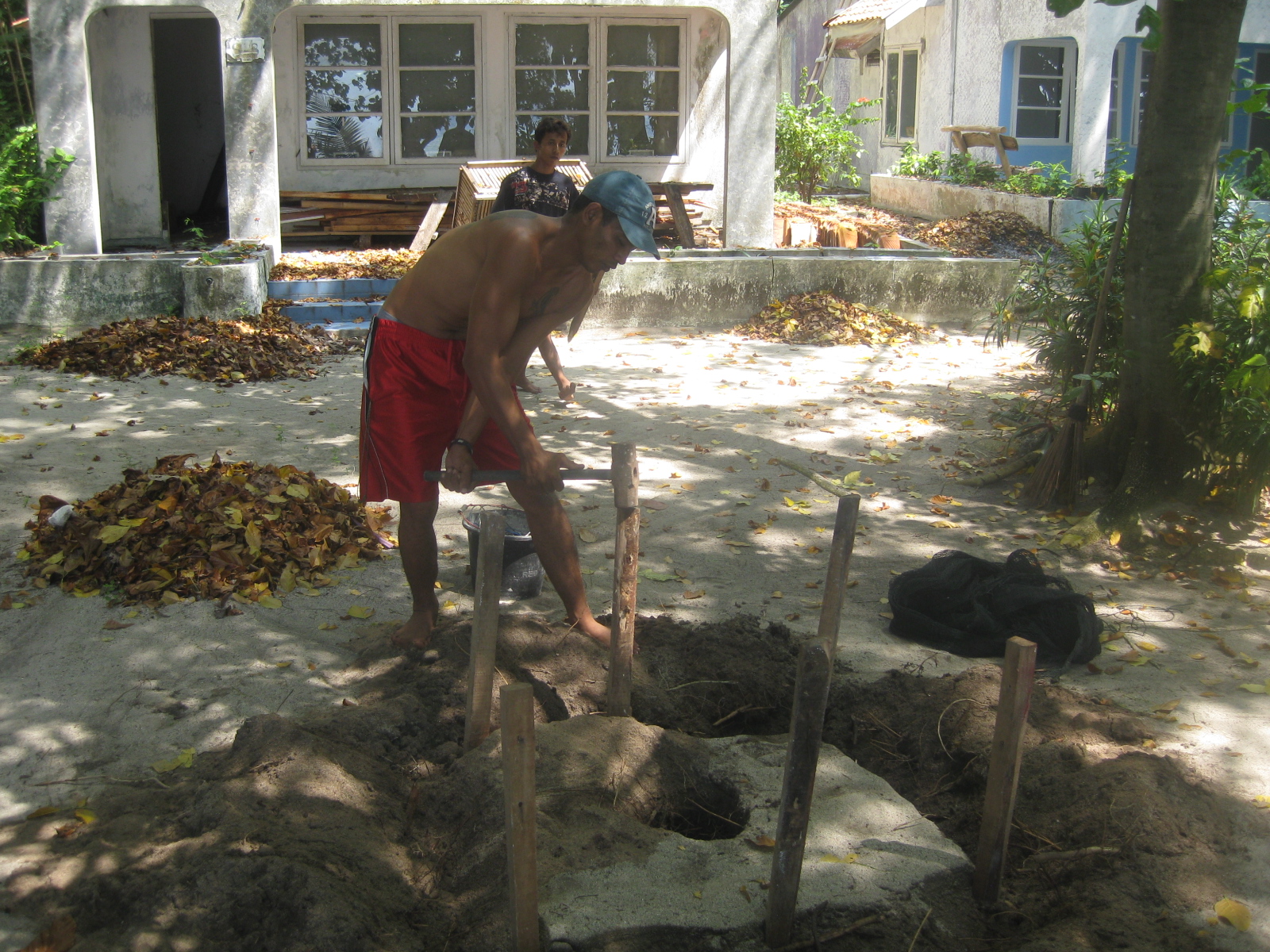 Building fences to protect nest and eggs from danger.