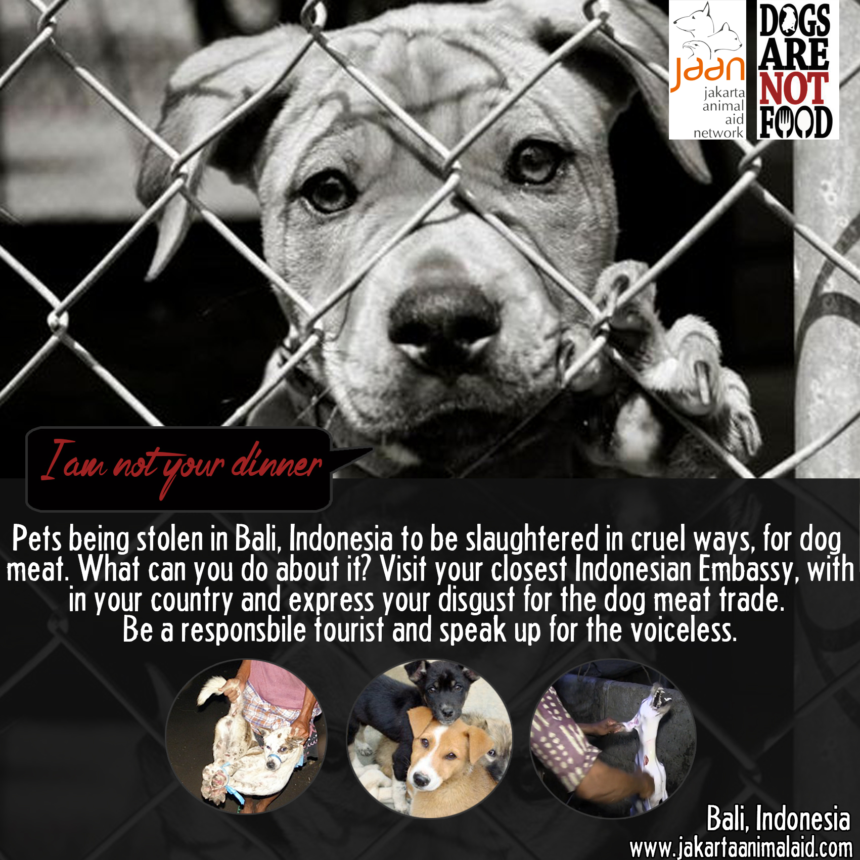 Dog are not food sale
