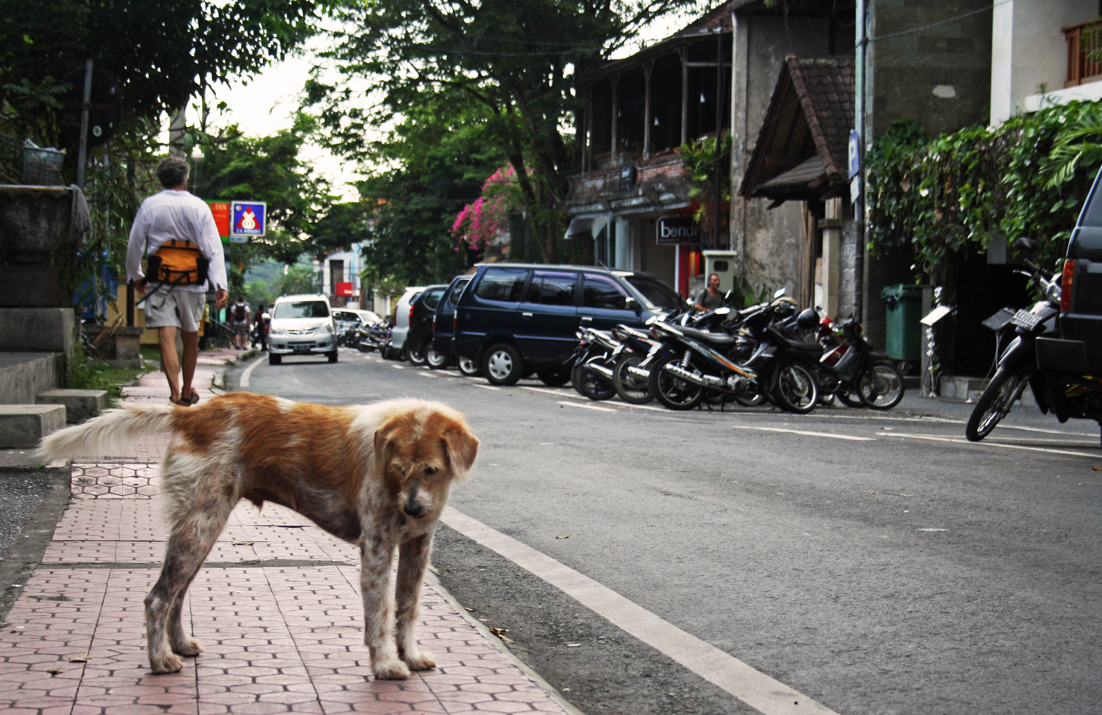 bali-2011-a-257