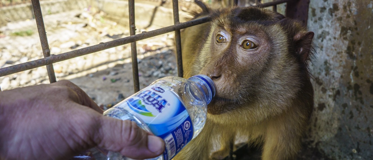 Accepting water from a stranger, they are that desperate.