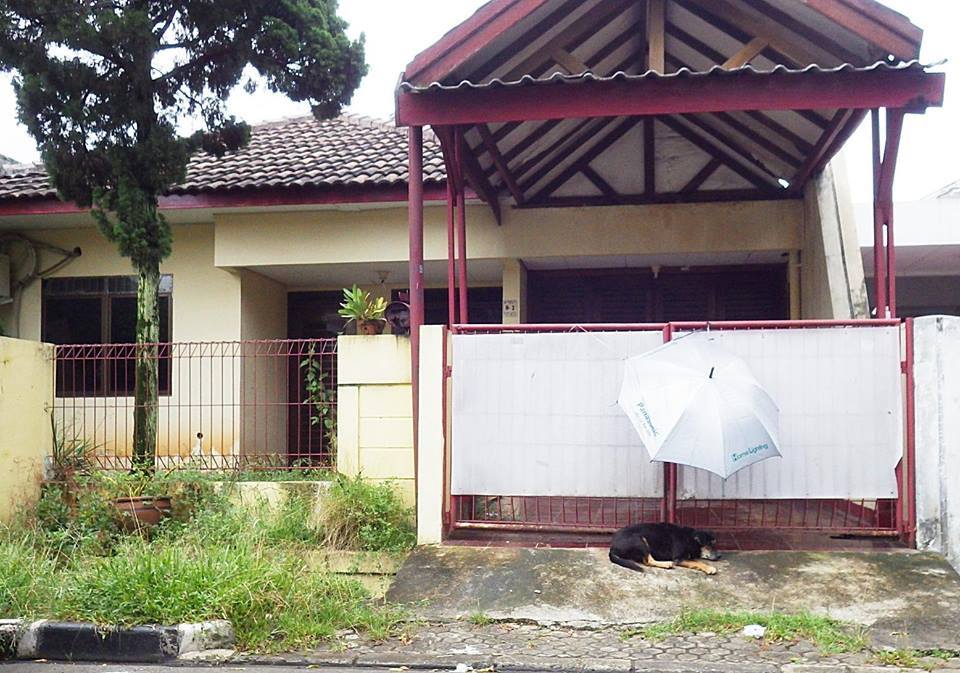 Michael in front of his old house. Neighbors set up an umbrella so Michael didn't get wet. 