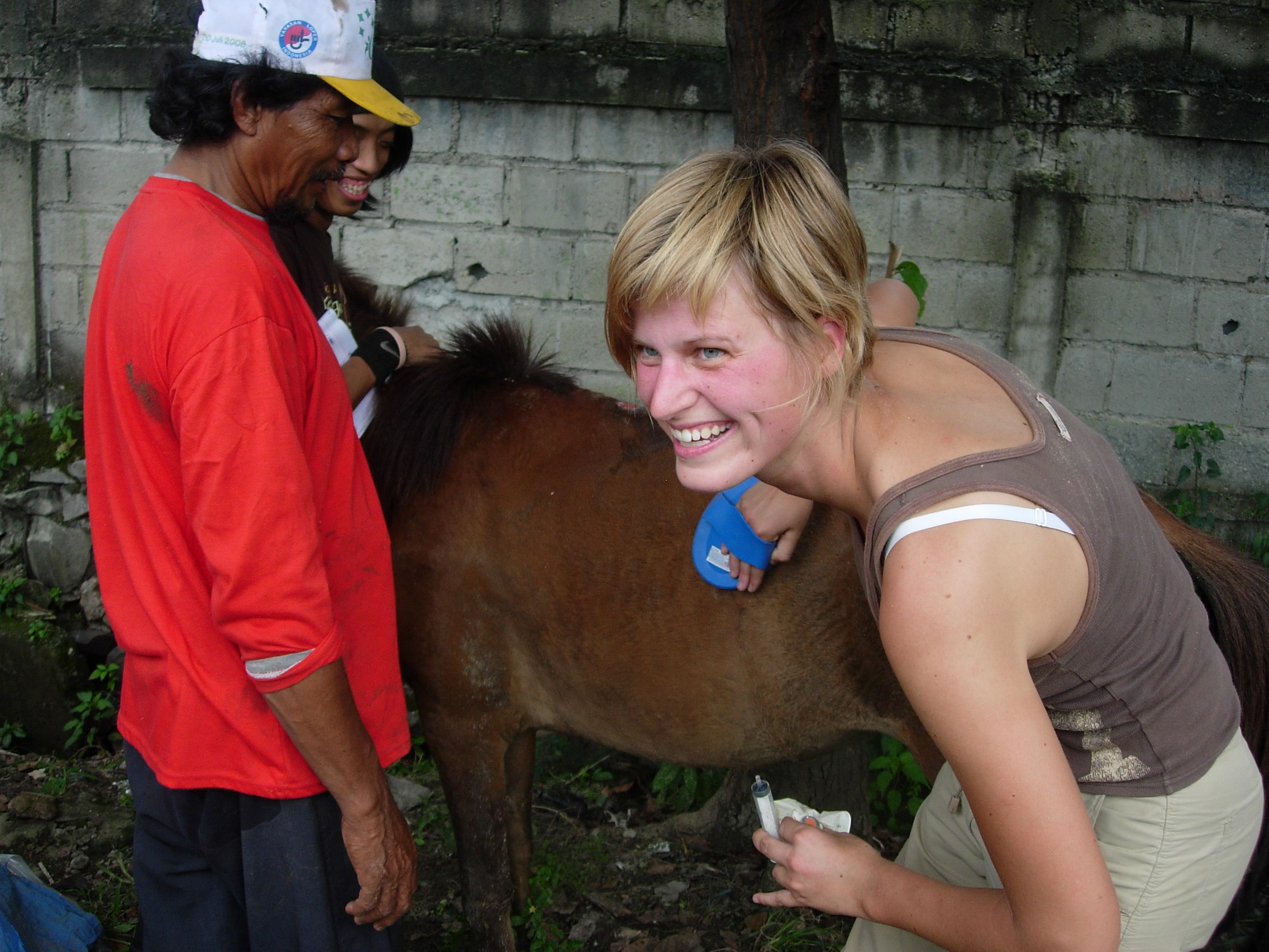 Explaining about the need of grooming the horses Nr 8