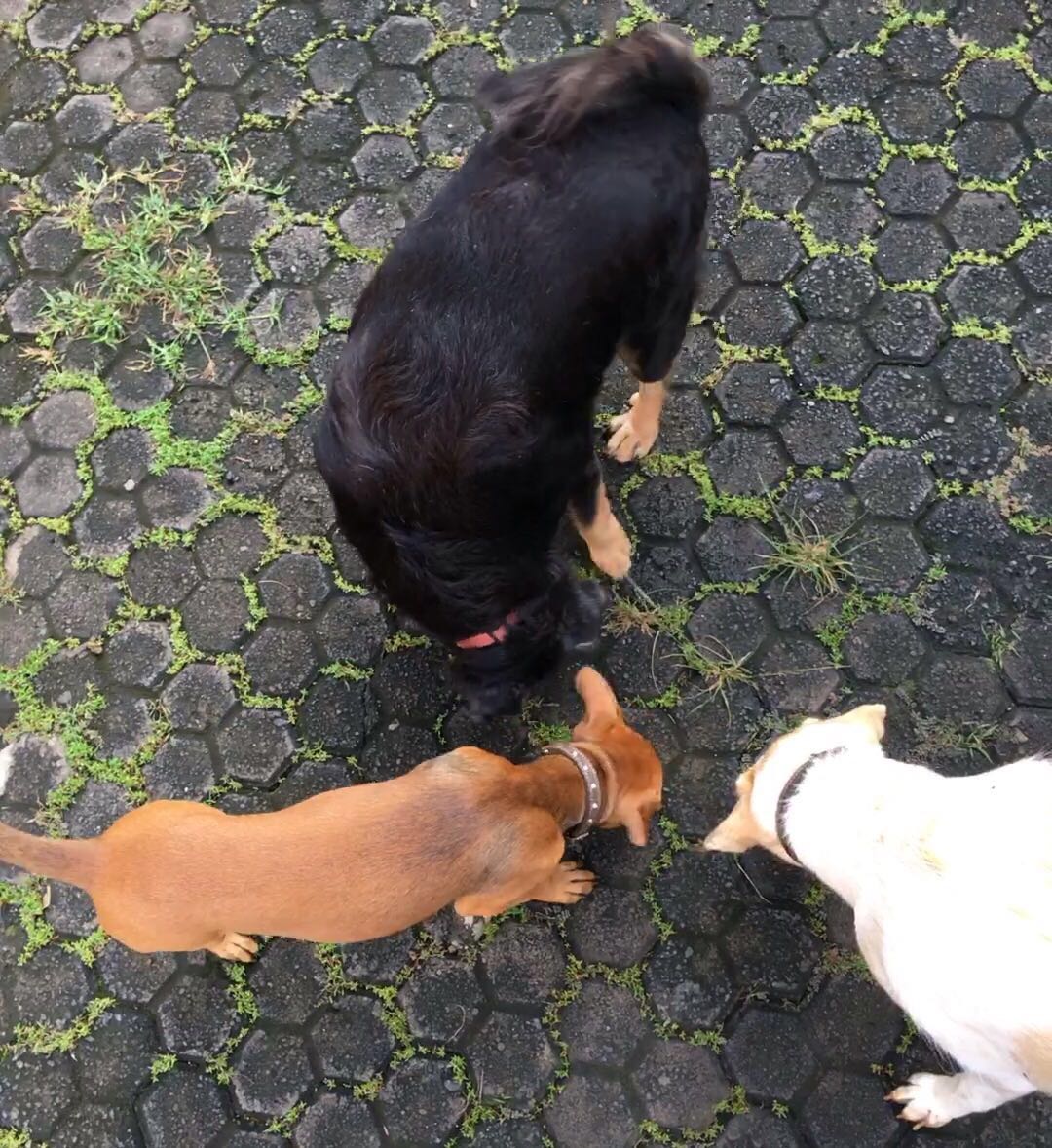 Michael playing with his new family.