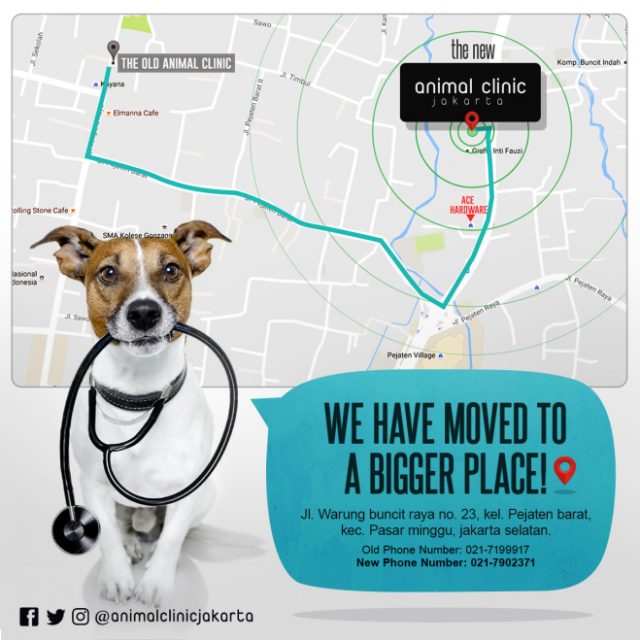 ANIMAL CLINIC JAKARTA – JAKARTA ANIMAL AID NETWORK