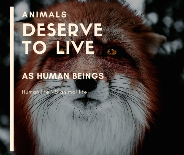 Animals Deserve to Live as Human Beings – JAKARTA ANIMAL AID NETWORK